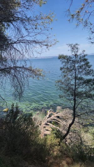 Déconnexion totale autour du parc de Figuerolles - Martigues - 7