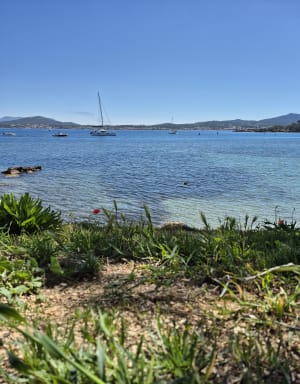Tour de l'île des Embiez et panorama - Six-Fours-les-Plages - 4