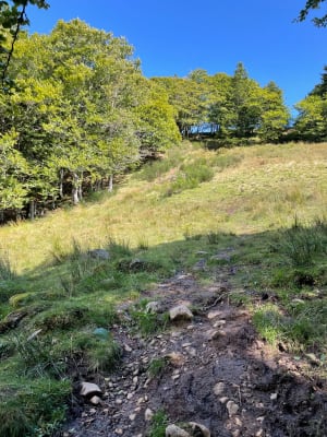 Le sentier d'Emilie au Col de Néronne - Le Falgoux - 39
