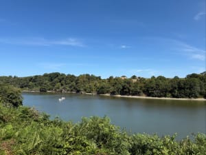 Lac du Jaunay - Saint-Julien-des-Landes - 4