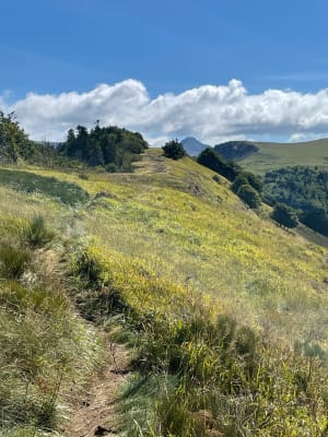 Le sentier d'Emilie au Col de Néronne - Le Falgoux - 40