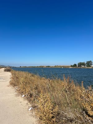 Balade dans le site naturel du Bolmon - Marignane - 3