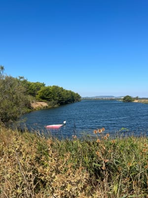 Balade dans le site naturel du Bolmon - Marignane - 4