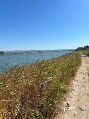 Balade dans le site naturel du Bolmon - Marignane - 5