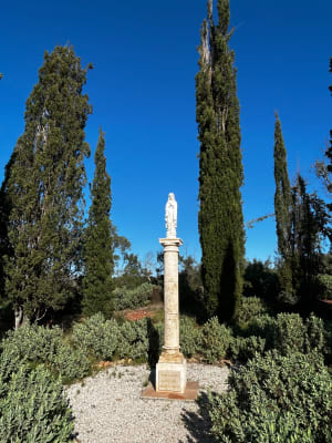 Cabasse-sur-Issole et se délecter des histoires provençales - Cabasse-sur-Issole - 4