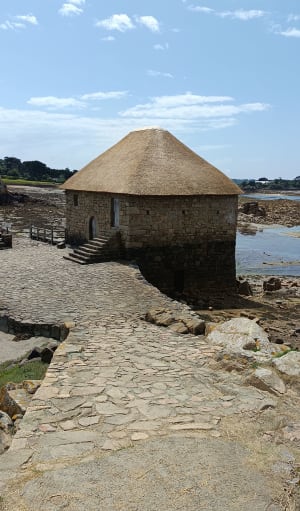 Bréhat, île aux fleurs et paradis micro-méridional - île-Bréhat - 36