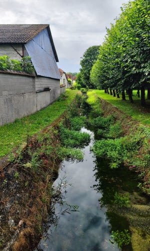 Que le bruit du vent dans les arbres et le chant des oiseaux le long de la Voie Conflans - Conflans-sur-Seine - 5