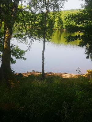 Autour du lac de Saint-Agnan - Saint-Agnan - 17