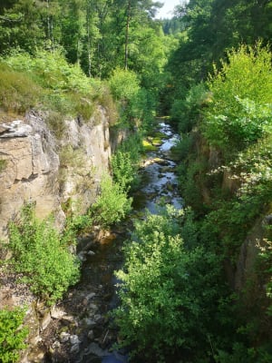 Autour du lac de Saint-Agnan - Saint-Agnan - 19