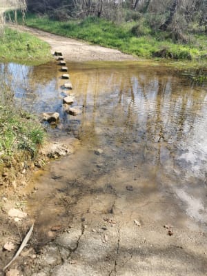 Murviel-lès-Béziers et faire en sorte que dure ce moment doux - Murviel-lès-Béziers - 4