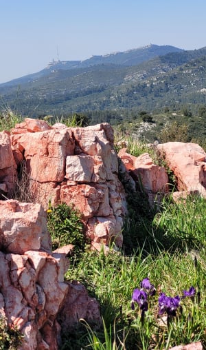 Montée à l'Aire de la Moure - Allauch - 4