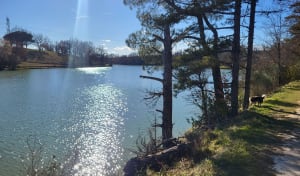 Lac de la pomarede - La Pomarède - 2