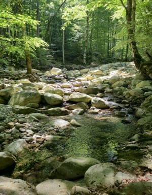 Engelse waterval vanaf station Vizzavona - Vivario - 24