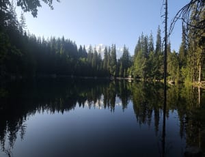 Boucle du lac Vert légendaire et forêt féerique - Plaine Joux - 58