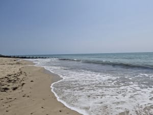 De la Bosse à la pointe de la Loire - gauthier - 7