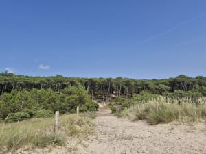 De la Bosse à la pointe de la Loire - gauthier - 9