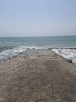 De la Bosse à la pointe de la Loire - gauthier - 10