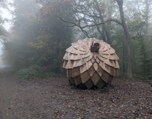 Petite boucle en forêt monumentale de Canteleu - Canteleu - 13