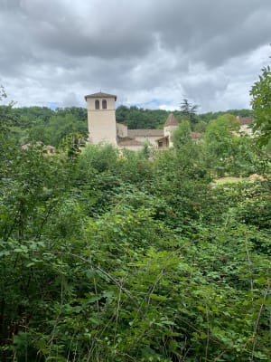 Causses et sous bois de Belmontet - Montcuq-en-Quercy-Blanc - 4