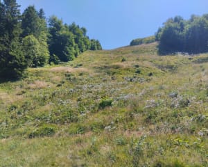 Col de la Chamboite - Chalmazel-Jeansagnière - 8