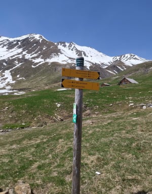 Marmottes et source du Verdon - Allos - 16