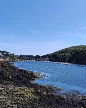 Boucle de l'Aber-Wrac'h au phare de l'île Vierge à Lilia - YVELINE - 6