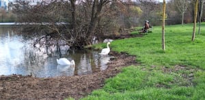 Petit tour au Lac de la Bergeonnerie - Tours - 5