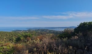 Petit tour dans les Petites Maures proche de Sainte-Maxime - Roquebrune-sur-Argens - 8