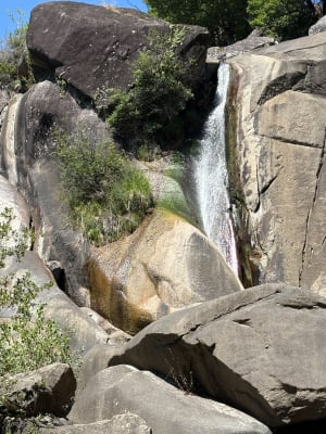 Entre Burlats et la cascade du saut de la truite - Burlats - 12