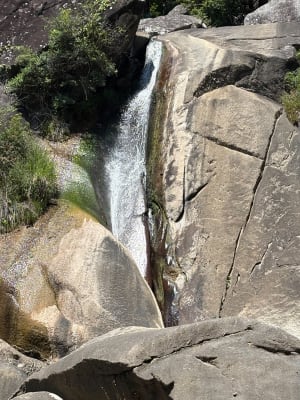 Entre Burlats et la cascade du saut de la truite - Burlats - 13