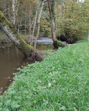 Prendre le temps de se faire plaisir à Souleuvre en Bocage - Souleuvre en Bocage - 3