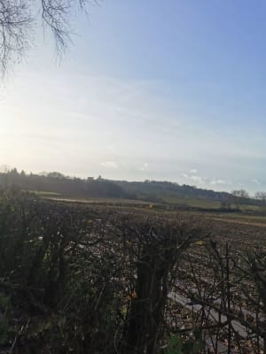 Van de Mont des Récollets tot de Mont Cassel - Cassel - 31