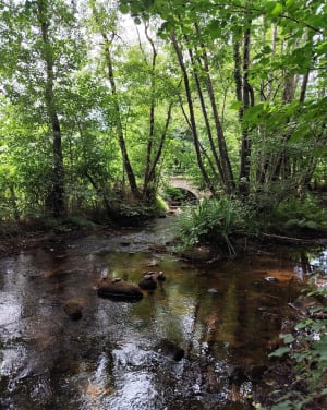 Du lac de St-Agnan en passant par la Pierre qui Vire - Saint-Agnan - 5