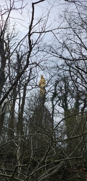 Notre-Dame d'Étang et forêt bourguignonne - La Cude - 32