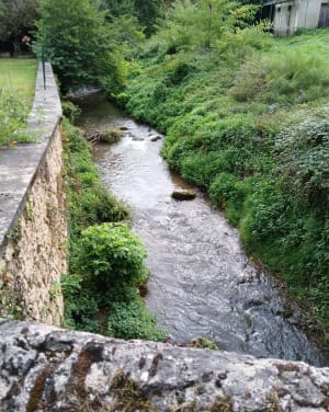 Balade entre Grolejac et Carsac par Gazaille, en longeant la Dordogne - Groléjac - 13