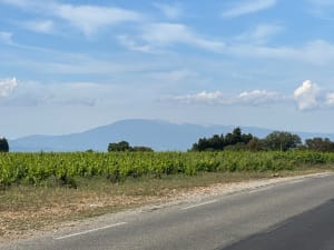 Châteauneuf-de-Gadagne et rando champêtre en père peinard - Châteauneuf-de-Gadagne - 4