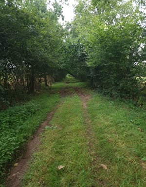 Cœur de la Suisse Normande et Val de Rouvre à VTT - Saint-Philbert-sur-Orne - 7