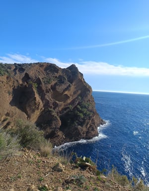 La Ciotat et sa vue plongeante sur les calanques - La Ciotat - 5