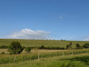 Chemin de la Vallée des Prêtres - Magnicourt-en-Comte - 19