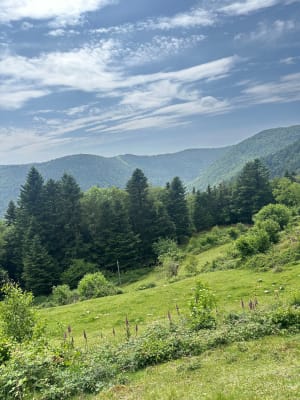 Boucle aux Lac d Alfeld et Lac des Perches - Maxime - 8