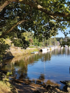 Bords de l'Aven, bois d'Amour et instants de contemplation - Pont-Aven - 16