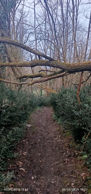 Sentier du Jaunay - Beaulieu-sous-la-Roche - 18