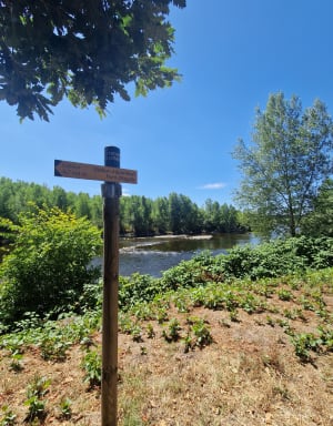 Entre la LOIRE et le canal de ROANNE. - Roanne - 8
