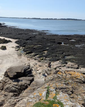 Plage des Granges et Penn Lann - karla - 8