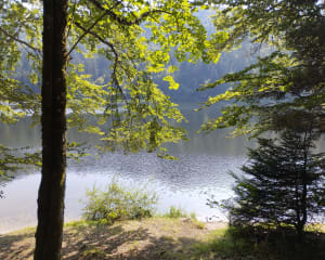 Lac de Blanchemer et sommet du Rainkopf - La Bresse - 7