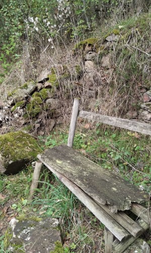 Rando ombragée en boucle autour du barrage de Thurins - Laure - 14