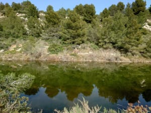 Etang Fos sur mer - Fos-sur-Mer - 10