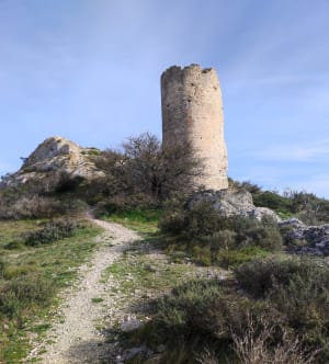 Les tours de Castillon - Paradou, Maussane-les-Alpilles - 4