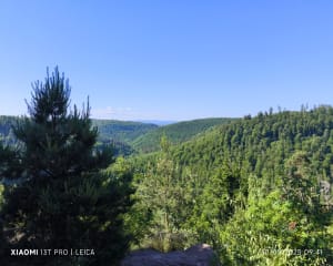 La petite Pierre, Rocher du Corbeau, des Païens et Blanc - La Petite-Pierre - 23