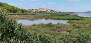 Bages en zijn vijvers, via de Roc de Berrière - Bages - 15